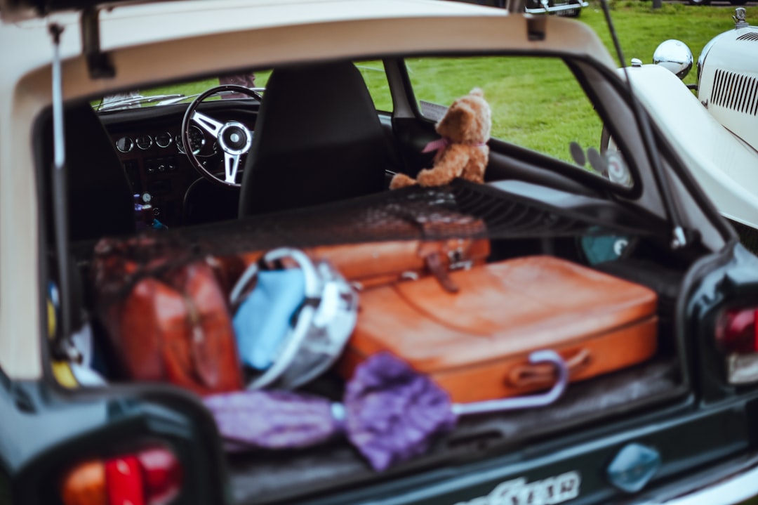 The Ultimate Guide to Car Accessories for Road Trips